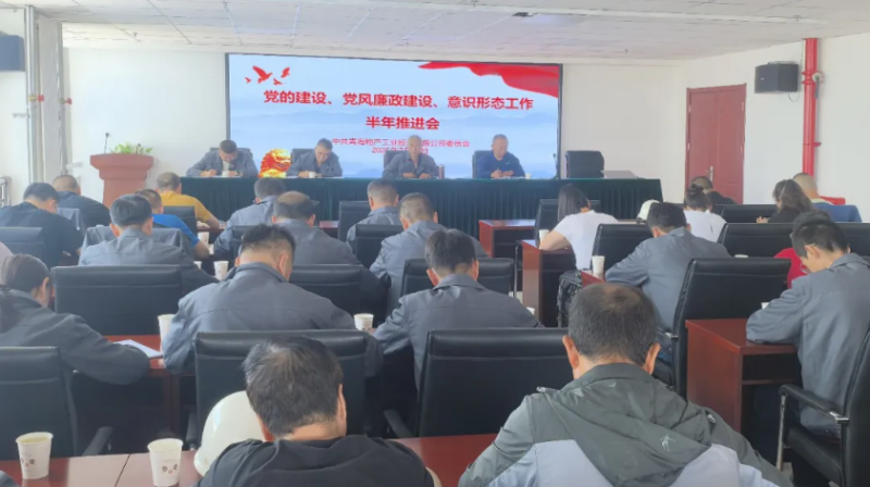 工投公司黨委召開黨的建設、黨風廉政建設、意識形態(tài)工作半年推進會