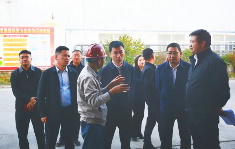 大通縣委副書記、縣長馬明旭一行蒞臨工投公司調(diào)研指導
