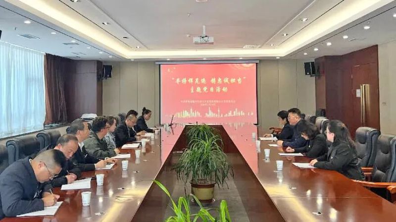 臨空公司黨支部開展主題黨日活動(dòng)