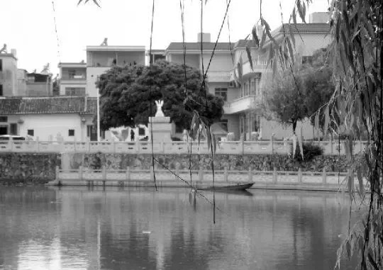 老鄉(xiāng)眼里的李河君：陌生富豪，夫人助其發(fā)財(cái)